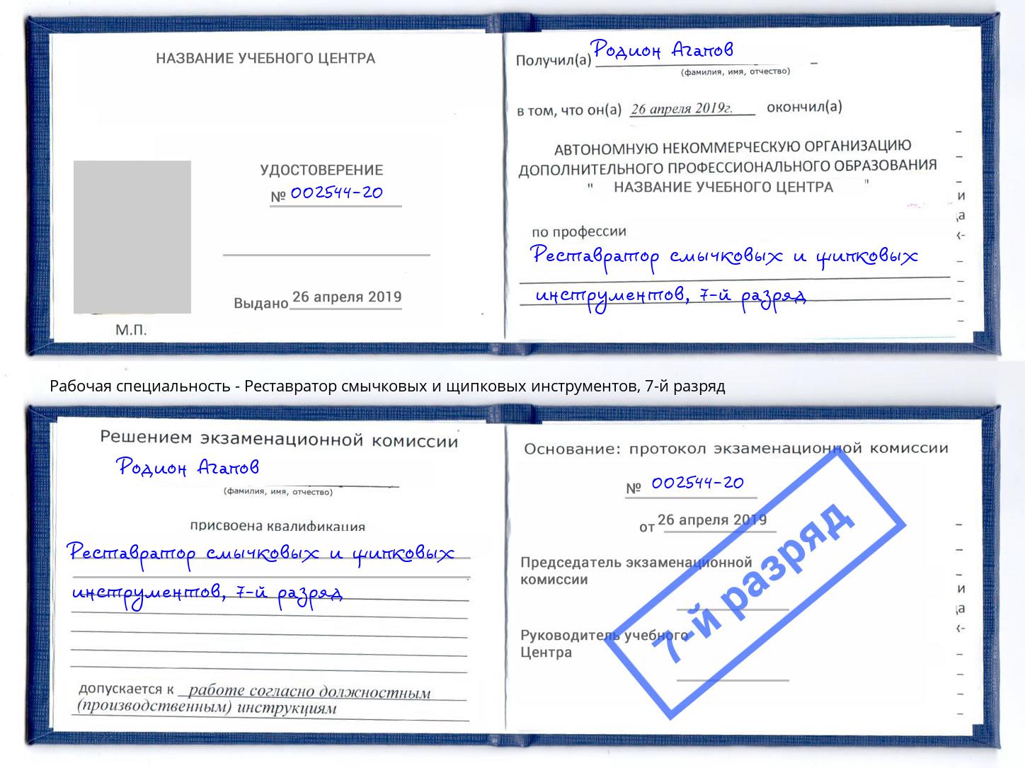 корочка 7-й разряд Реставратор смычковых и щипковых инструментов Химки