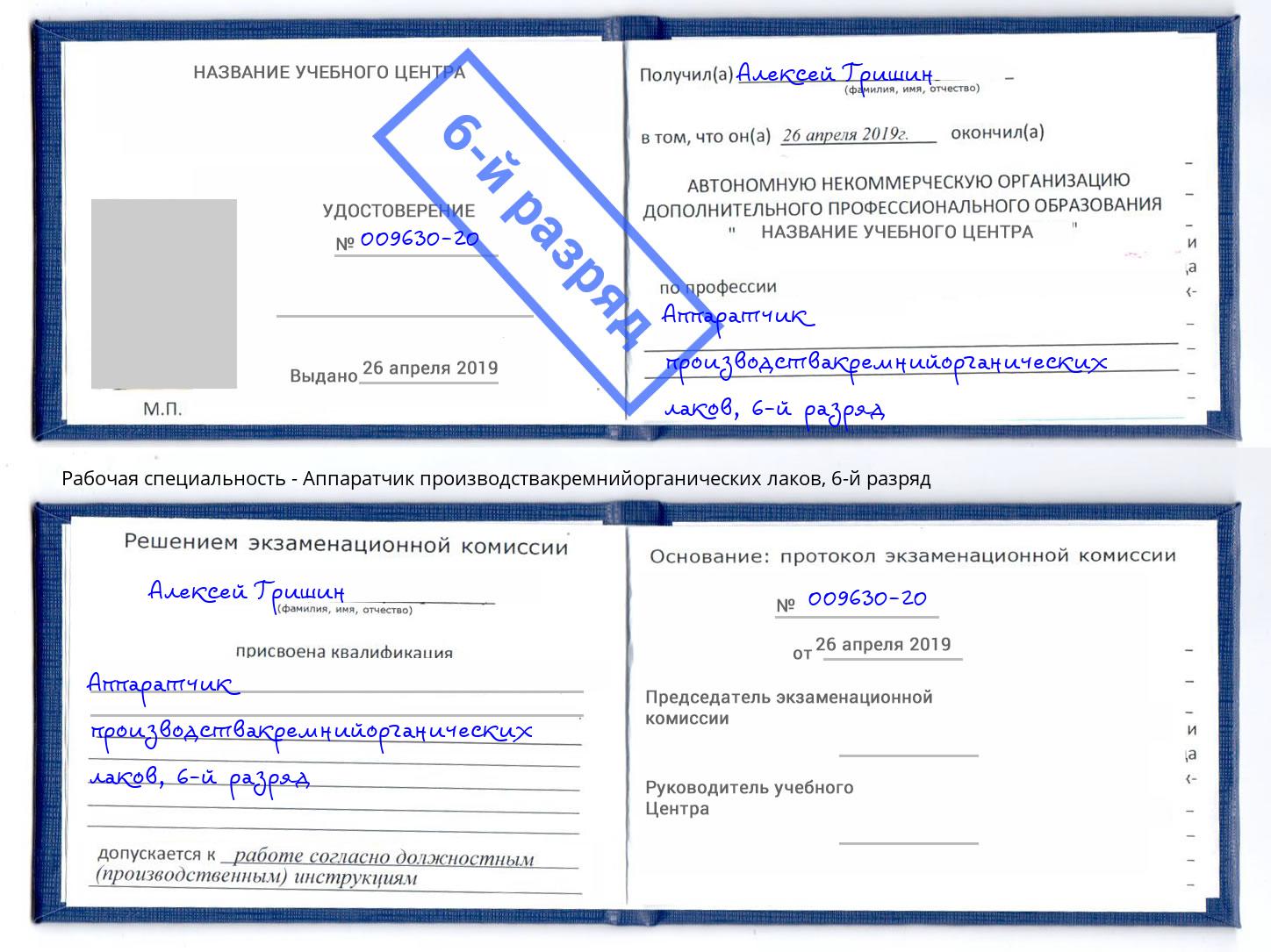 корочка 6-й разряд Аппаратчик производствакремнийорганических лаков Химки